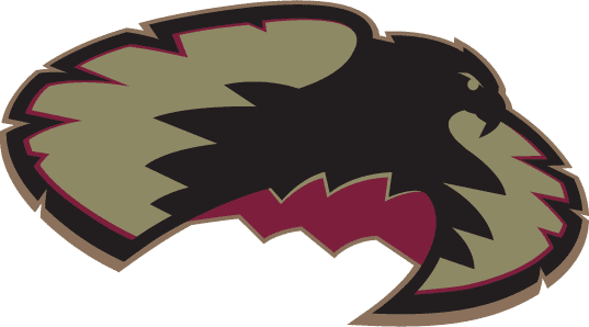 Denver Pioneers 1999-2006 Secondary Logo iron on transfers for T-shirts